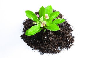 重新认识收益分析：打破你的认知边界